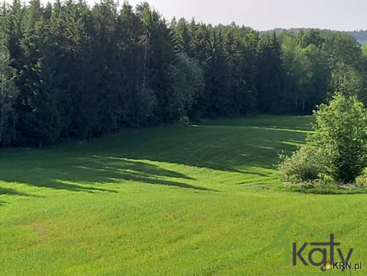 Działki  na sprzedaż, Czarny Kierz, ul. , 