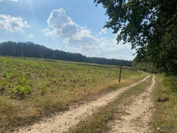 Działki  na sprzedaż, Jezierzyce Kościelne, ul. , 