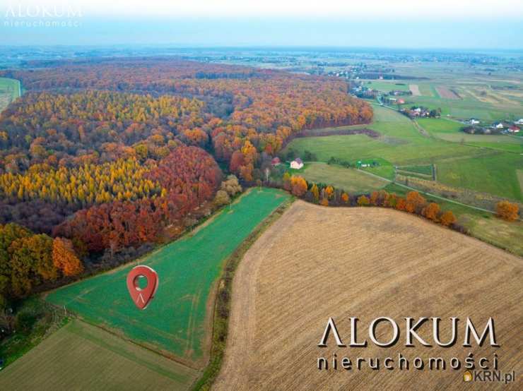 Wola Batorska, ul. , Działki  na sprzedaż, 