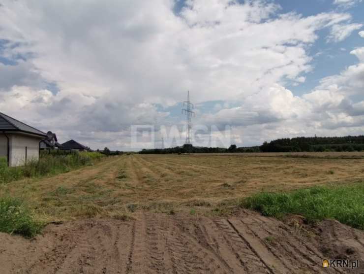 Działki  na sprzedaż, Jędrzychów, ul. , 