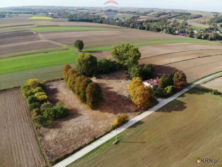 Działki  na sprzedaż, , Gołcza, ul. 