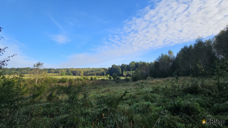 Działki  na sprzedaż, , sokolnik, ul. 