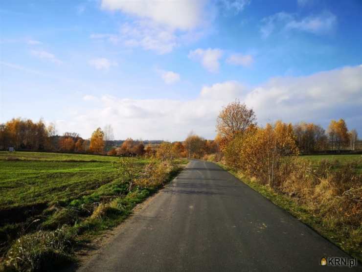 Działki  na sprzedaż, , Pisarzowice, ul. 