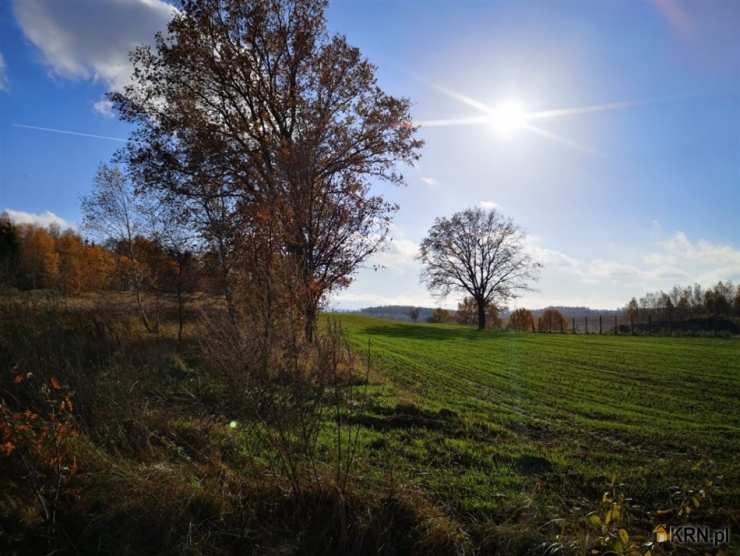 Pisarzowice, ul. , Działki  na sprzedaż, 