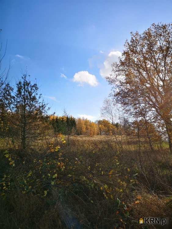 Pisarzowice, ul. , , Działki  na sprzedaż