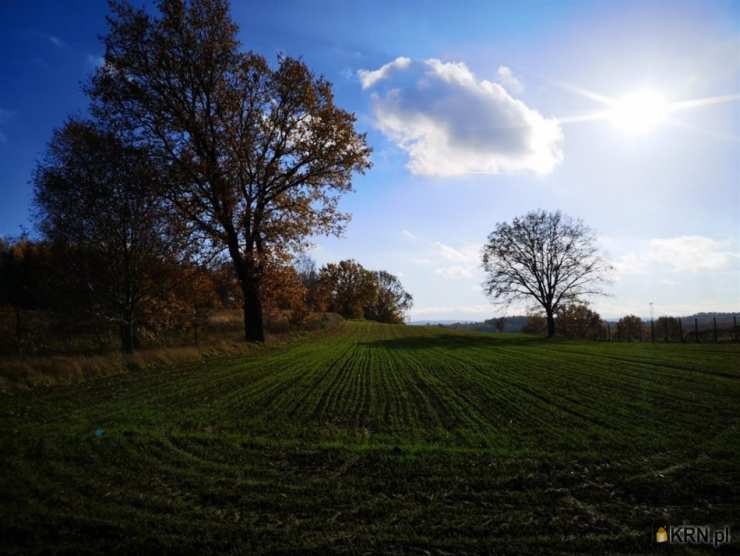 , Pisarzowice, ul. , Działki  na sprzedaż