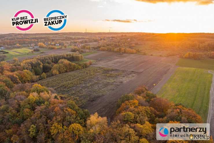 Działki  na sprzedaż, Buszkowy Górne, ul. , 