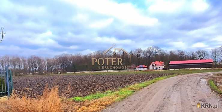 Działki  na sprzedaż, , Tyniec Mały, ul. 