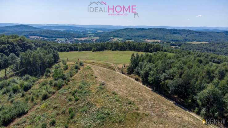  Ideal Home Nieruchomości , Działki  na sprzedaż, Dydnia, ul. 