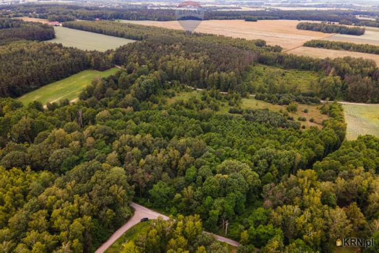 RE/MAX Polska, Działki  na sprzedaż, Boginia, ul. 