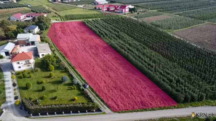 Działki  na sprzedaż, , Kamieniec, ul. 