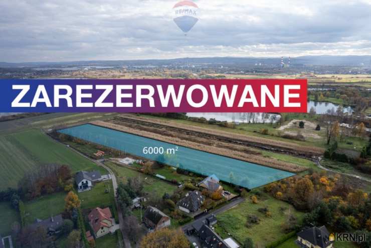 Działki  na sprzedaż, Ściejowice, ul. , 