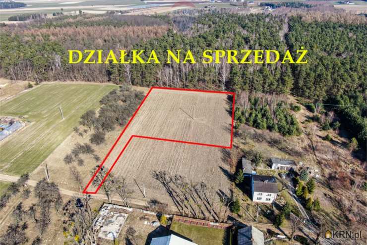 Działki  na sprzedaż, Załuski, ul. , 