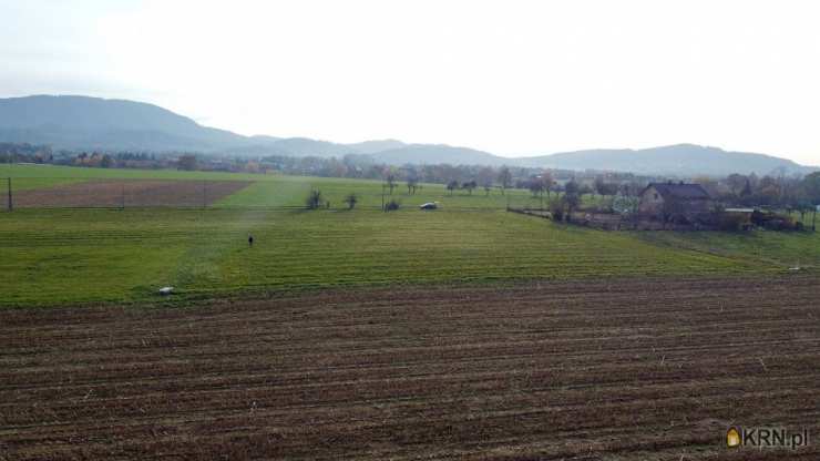 , Kozakowice Dolne, ul. Biała, Działki  na sprzedaż