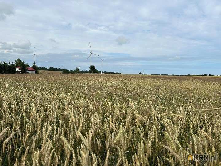 Działki  na sprzedaż, , Zaleskie, ul. 