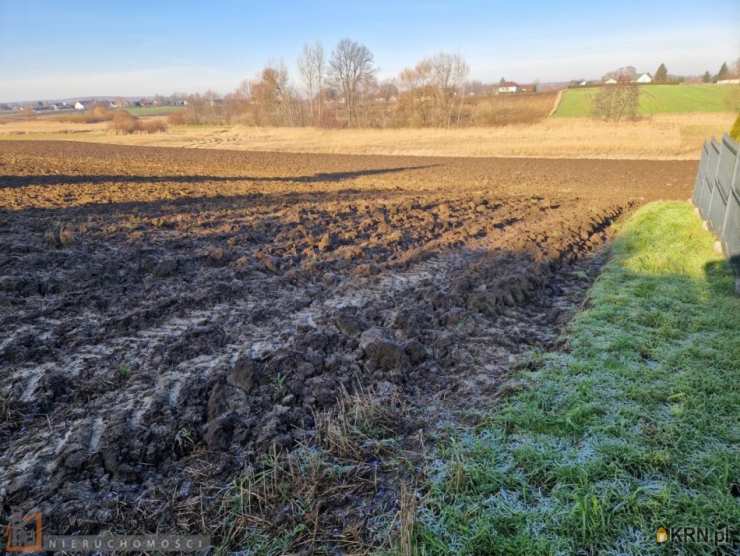 PACANOWSCY NIERUCHOMOŚCI, Działki  na sprzedaż, Wilków, ul. 