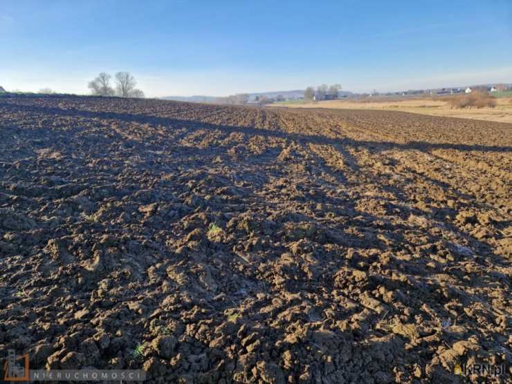 Działki  na sprzedaż, , Wilków, ul. 