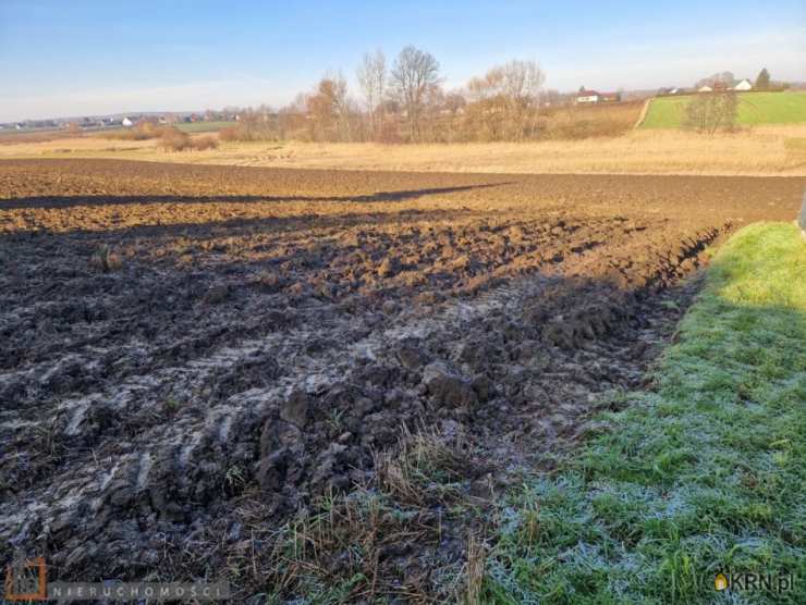 , Działki  na sprzedaż, Wilków, ul. 