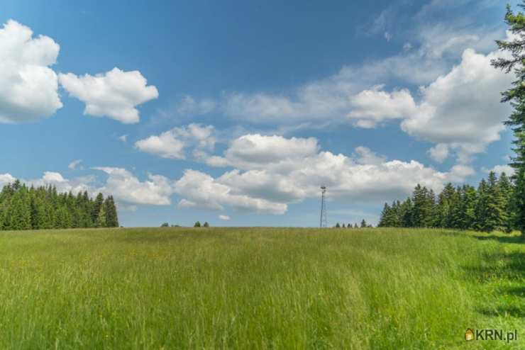 KANCELARIA FINANSOWO-KONSULTINGOWA, Działki  na sprzedaż, Mochnaczka Wyżna, ul. 