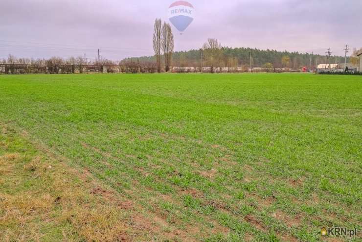 Działki  na sprzedaż, , Świnice Warckie, ul. 