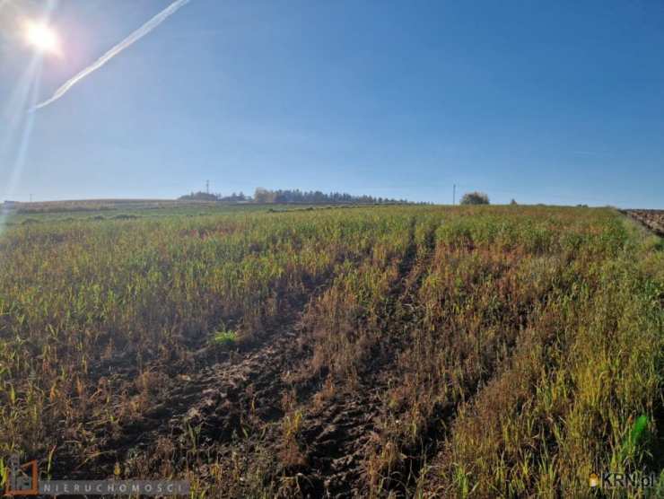 Działki  na sprzedaż, , Wilków, ul. 