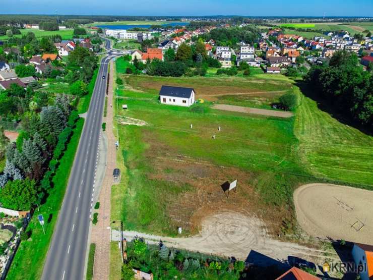 Rydzyna, ul. Wolności, Działki  na sprzedaż, 