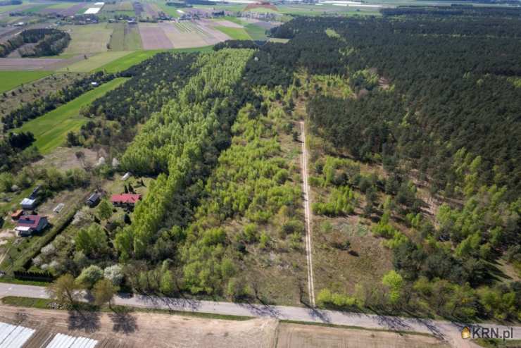 Ludwikowo, ul. , Działki  na sprzedaż, 