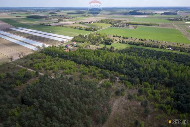 , Ludwikowo, ul. , Działki  na sprzedaż