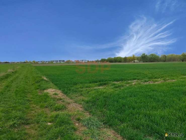 , Siechnice, ul. Bzowa, Działki  na sprzedaż