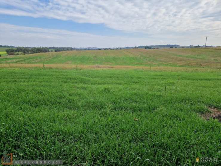 Działki  na sprzedaż, , Wilków, ul. 