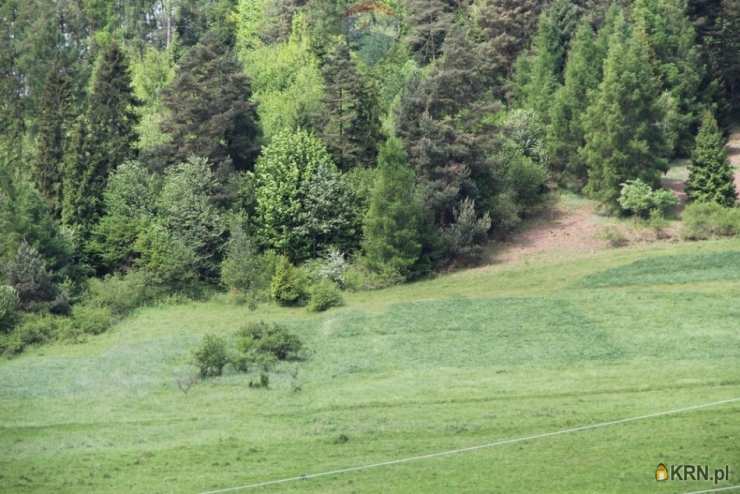 Działki  na sprzedaż, , Krośnica, ul. 