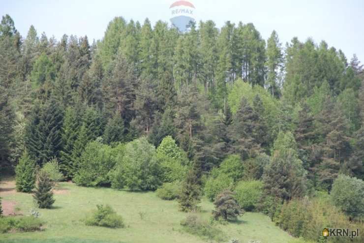 Krośnica, ul. , Działki  na sprzedaż, 