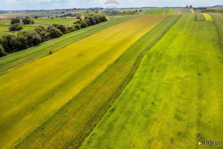 RE/MAX Polska, Działki  na sprzedaż, Skała, ul. 