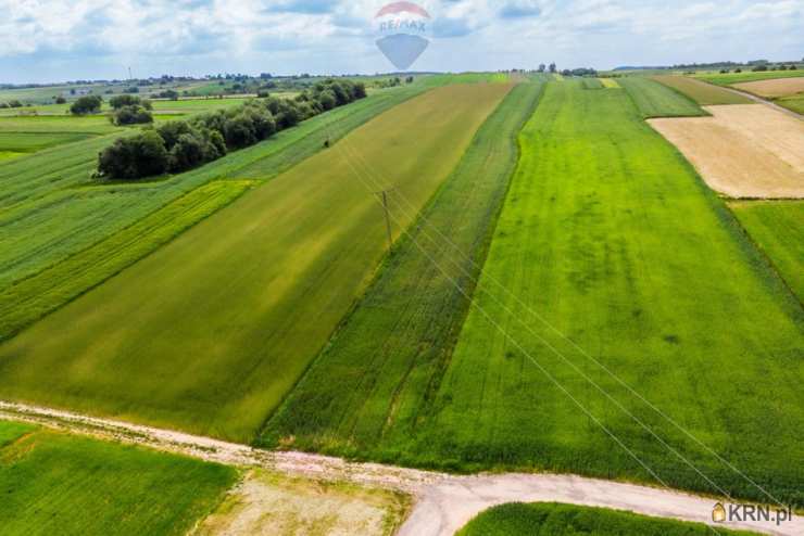 Działki  na sprzedaż, Skała, ul. , 