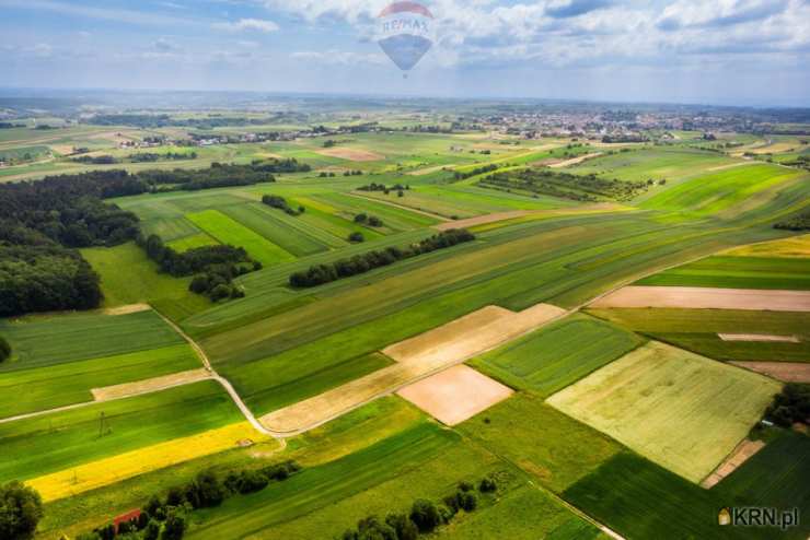 Działki  na sprzedaż, , Skała, ul. 