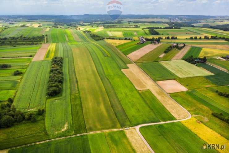 Skała, ul. , Działki  na sprzedaż, 