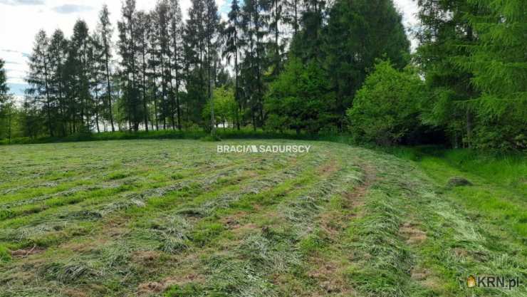 Działki  na sprzedaż, Poręba Żegoty, ul. , 