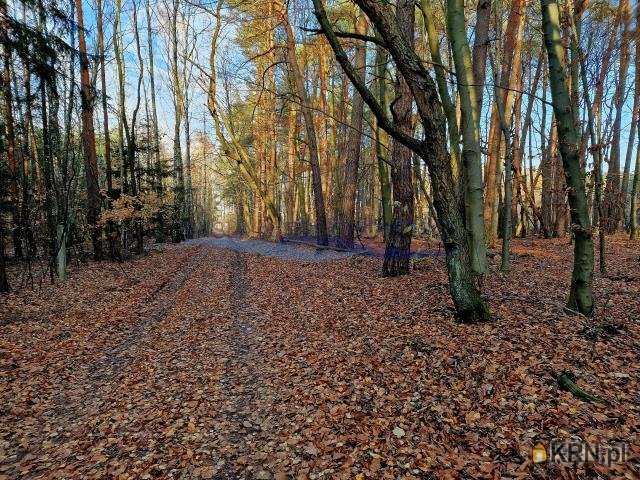 Działki  na sprzedaż, Petrykozy, ul. Za Gajem, 