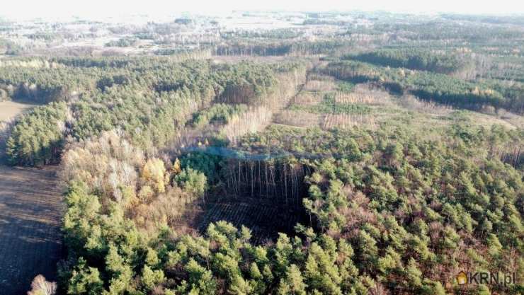 Działki  na sprzedaż, Petrykozy, ul. Za Gajem, 