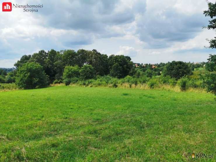 Rożnowa, ul. , Działki  na sprzedaż, 