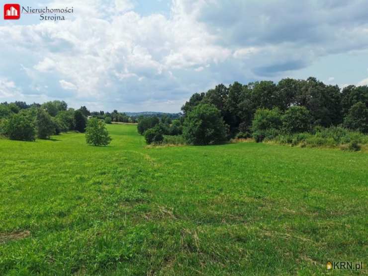 Rożnowa, ul. , , Działki  na sprzedaż