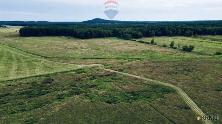 RE/MAX Polska, Działki  na sprzedaż, Smołdziński Las, ul. 