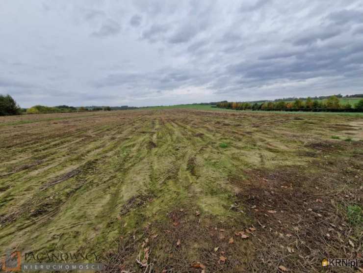 , Brzoskwinia, ul. , Działki  na sprzedaż