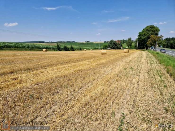 Działki  na sprzedaż, Wilczkowice, ul. , 