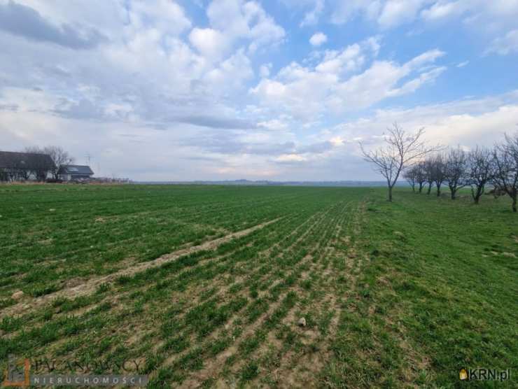 Działki  na sprzedaż, Cianowice Duże, ul. , 