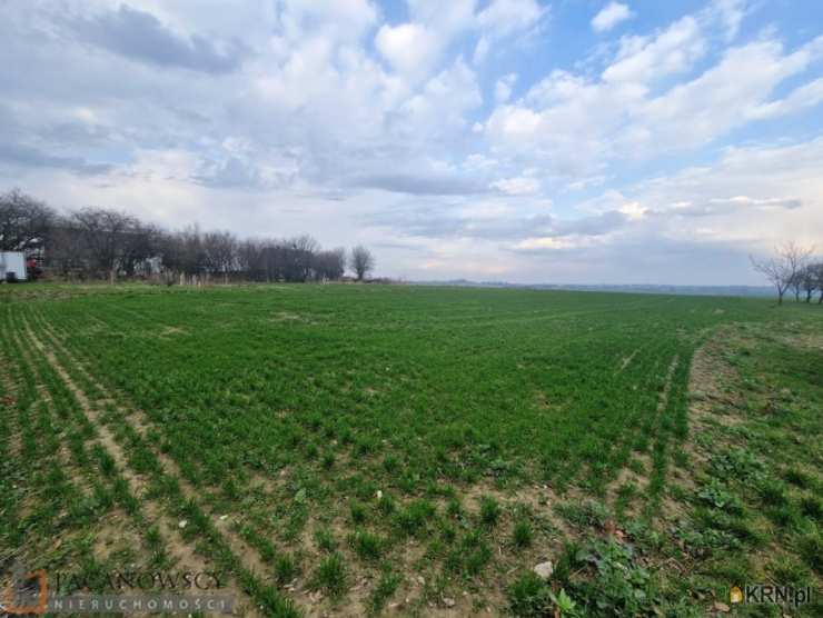 Działki  na sprzedaż, , Cianowice Duże, ul. 