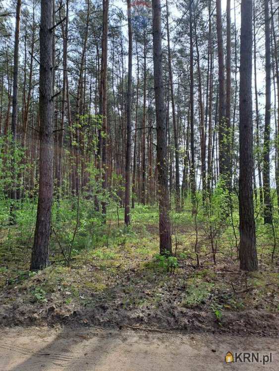 Międzyleś, ul. , , Działki  na sprzedaż