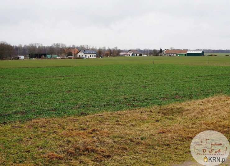 Ostrówek, ul. , Działki  na sprzedaż, 