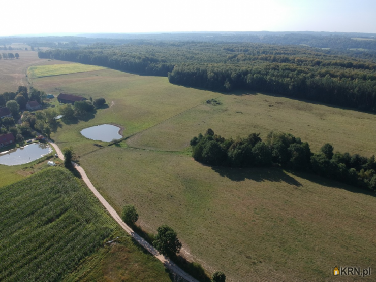 Szulc & Szulc Nieruchomośc, Działki  na sprzedaż, Skowrony, ul. 