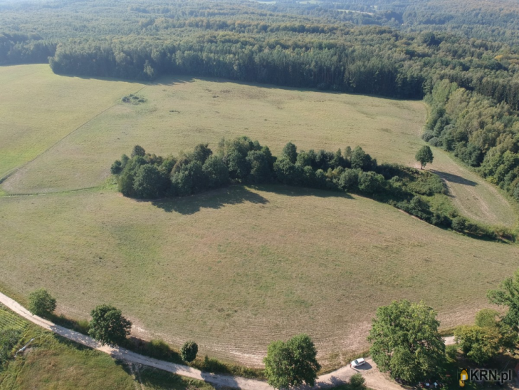 Działki  na sprzedaż, , Skowrony, ul. 